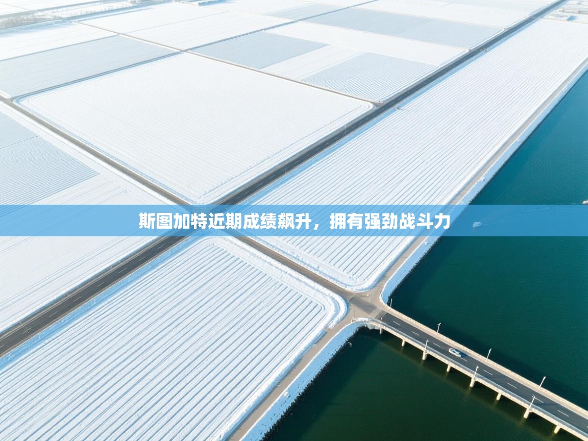 斯图加特近期成绩飙升，拥有强劲战斗力  第2张