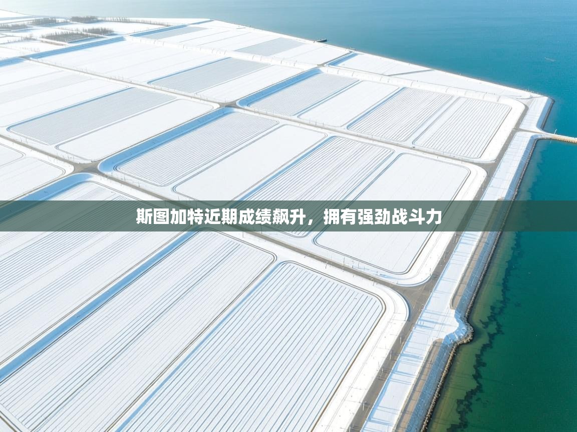 斯图加特近期成绩飙升，拥有强劲战斗力  第1张